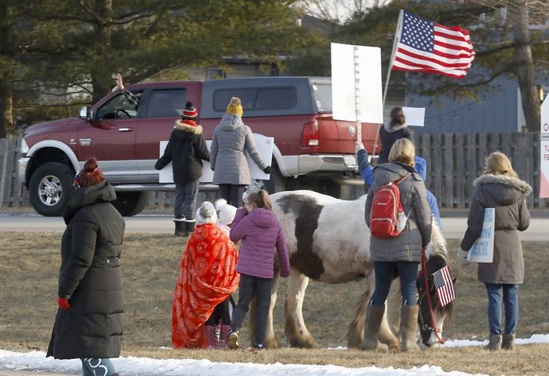 A pony grazes as people protest during a Cary School District 26 anti-mask rally Tuesday, Feb. 15, 2022, along Three Oaks Road at Cary-Grove Park. The event was attend by about 100 people and organized by the Illinois Parents Union Cary.