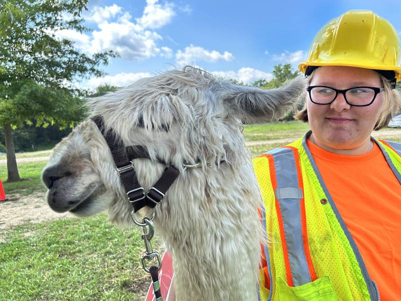 Eliizabeth Kennedy, 15, of Davis Junction, and Barnstomer, took part in the llama show at the Ogle County 4-H Fair on Friday, Aug. 2, 2024 at the Ogle County Fairgrounds. Kennedy is a members of the newly formed Legendary Llamas 4-H Club. Barnstormer belongs to Blue Moon Llamas of Byron.