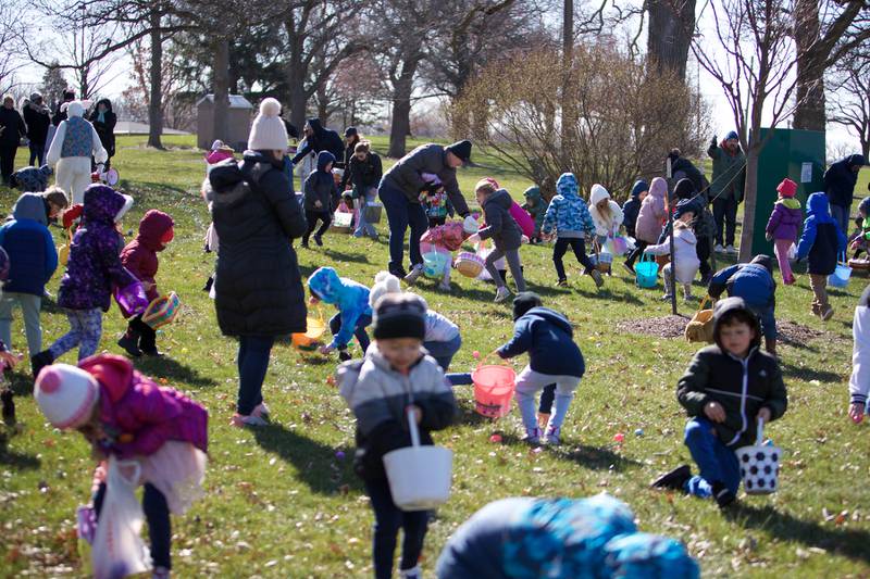 Kids enjoy the Easter Egg Hunt on Saturday, March 23,2024 at Lions Park in Elburn.