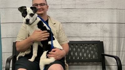 Find your forever friend at a local shelter or rescue
