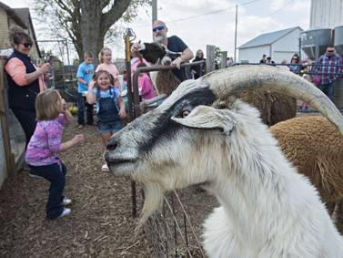 Photos: Farm open house in Chadwick