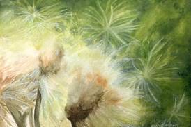 Lisa Youngdahl creates worlds with the tip of a pencil