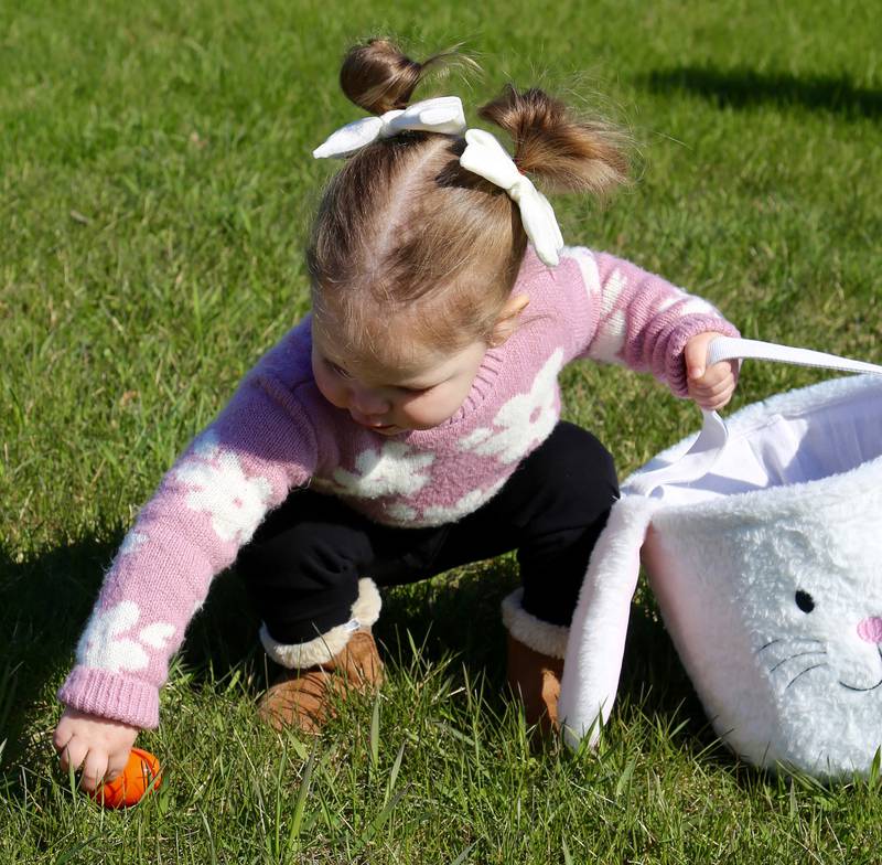Savannah Brodhagen, 2, of Elburn finds an egg at the Elburn Lions Easter Egg Hunt on Saturday, April 12, 2025 in Elburn.