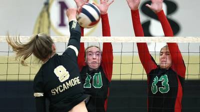 Photos: Sycamore volleyball hosts LaSalle-Peru