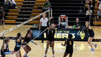 Joliet West sweeps scrappy Joliet Catholic in 2 sets