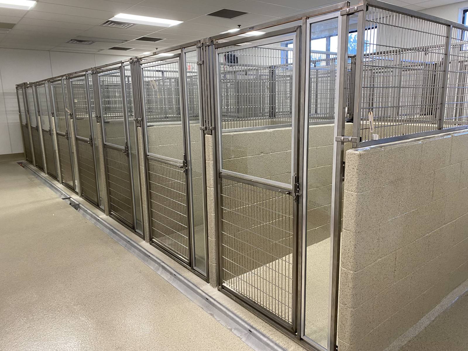 Helping Paws will open new puppy room Shaw Local