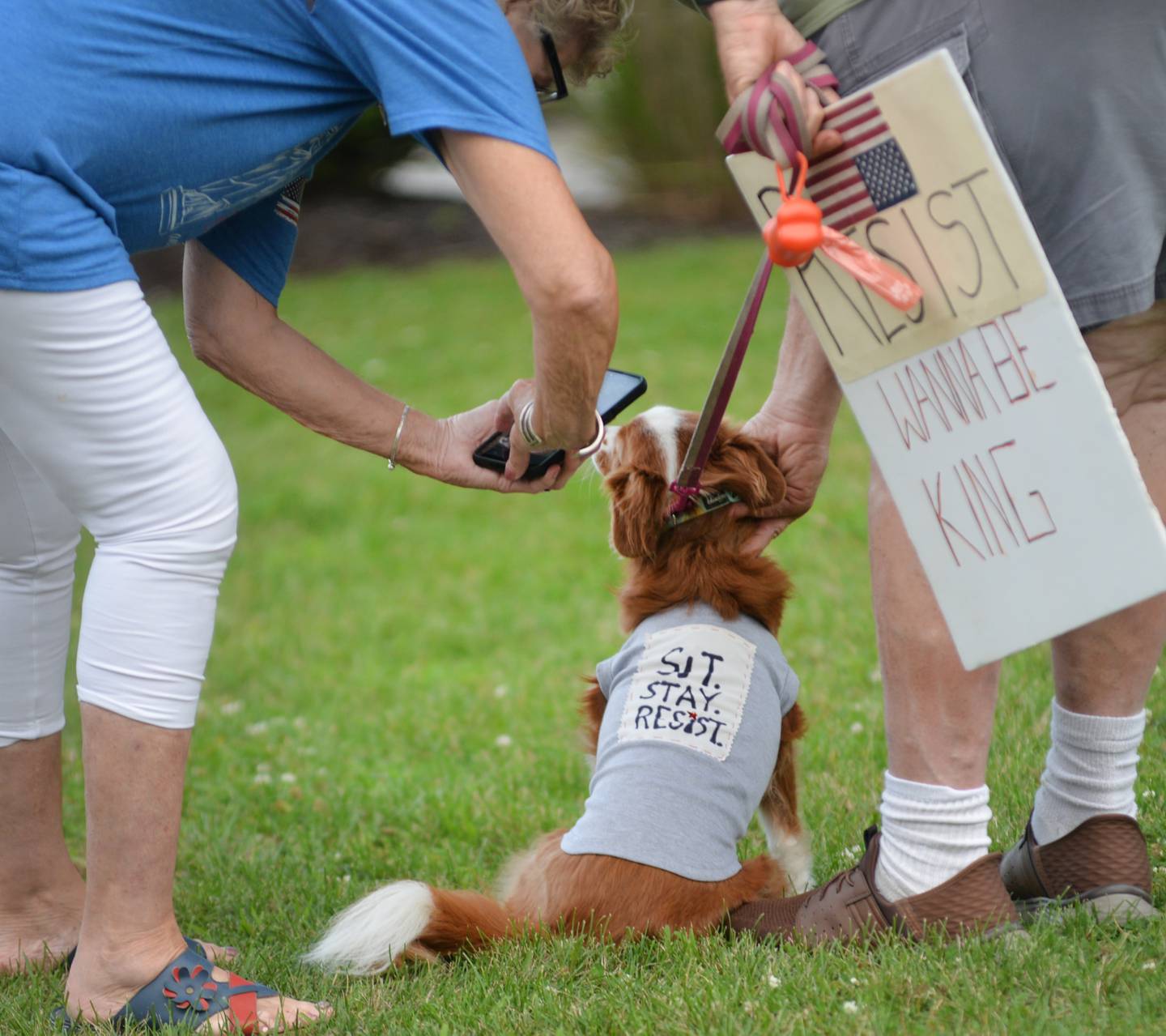 A woman takes a photo of a dog that wore a sign that said "Sit, Stay, Resist" to Oregon's "Good Trouble Lives On" rally around the Ogle County courthouse in downtown Oregon on Thursday, July 17, 2025. The event was the fifth held to protest ongoing policies and executive orders by President Trump and his administration.