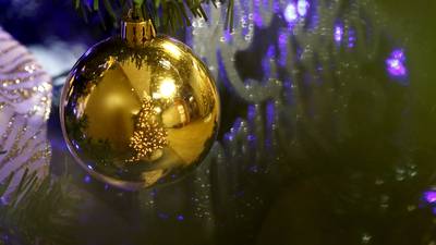 Streator Lions Club holds Christmas party