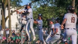 Class 4A baseball: Lincoln-Way West outlasts Providence to advance to sectional final