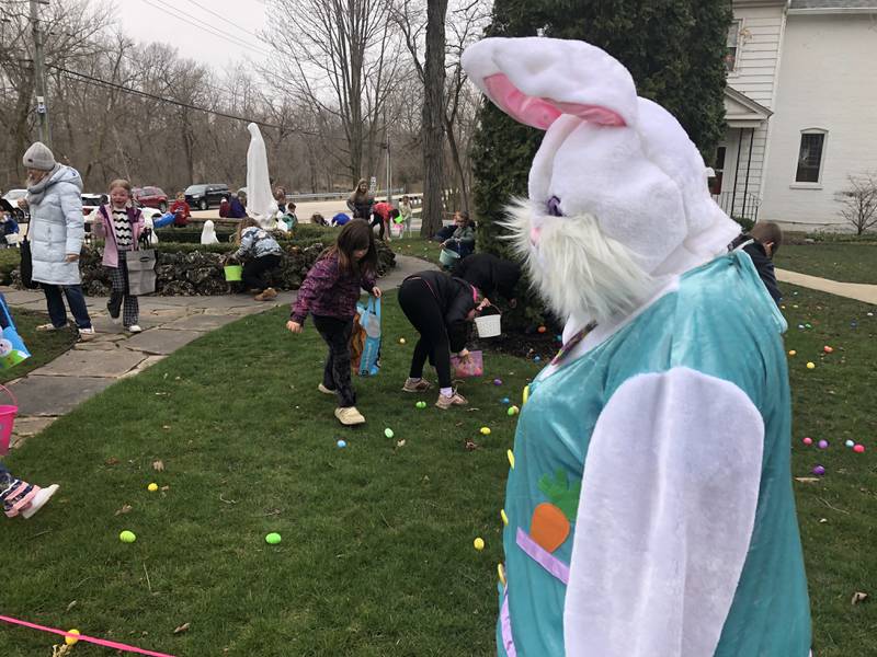 The Easter Bunny observes an egg hunt at St. Peter's Church in Spring Grove March 30, 2024.