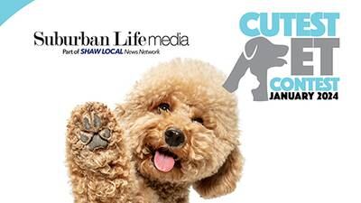Suburban Life's January 2024 Cutest Pet Contest