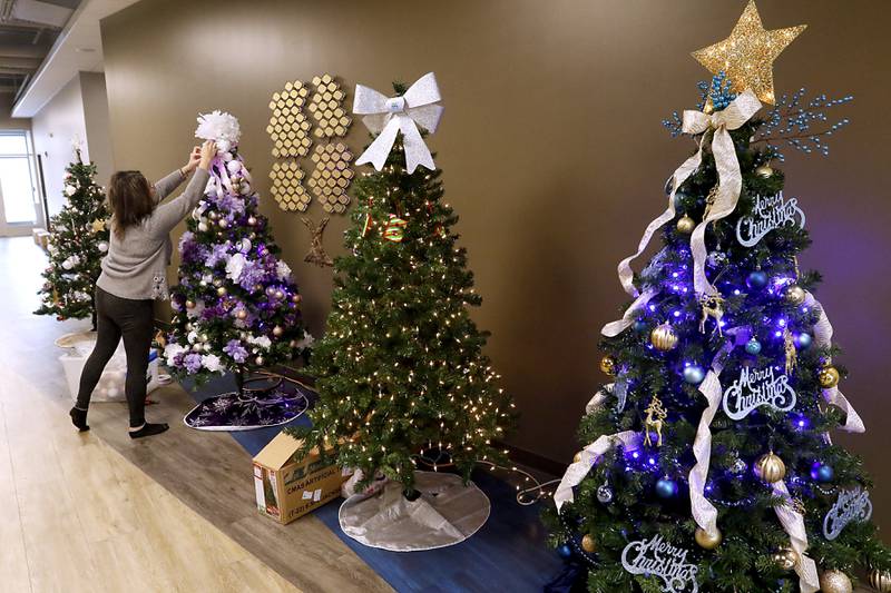 Susan McCoy, of White Oaks at McHenry, decorates a Christmas tree on Thursday, Nov. 21, 2024, for the McHenry Chamber of Commerce Festival of Trees at the McHenry Recreation Center. The tree festival opens Friday, Nov. 22, and runs through Dec. 29. Visitors can vote for their favorite Christmas tree by leaving canned food or toiletries under the tree they like best during normal business hours. All donations go to Veterans Path to Hope.