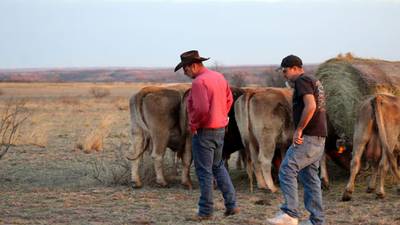 Illinois farmers donate hay to drought-stricken Texas ranchers