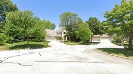 What were the 10 most expensive homes sold in Will County in the week of May 4?