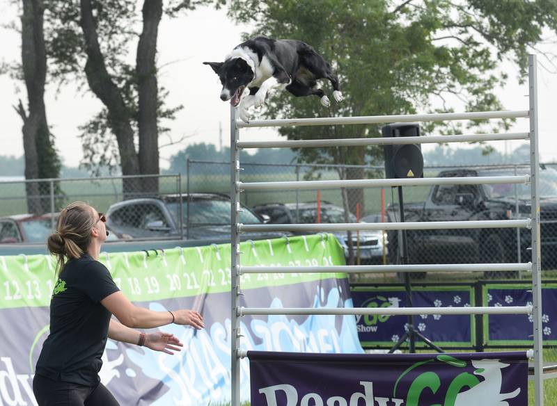 Nikki Penta of the Ready Go Dog Show gets ready to catch Phobia as she clears a jump during their performance at the Ogle County Fair on Thursday, July 31, 2025.