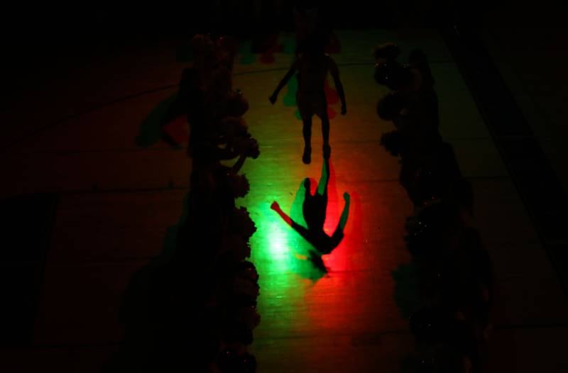 Woodstock's Marc Thomas’ shadow s is cast on the floor during introductions before their Kishwaukee River Conference boys basketball game against Woodstock North on Wednesday, February. 18, 2026, at Woodstock High School.