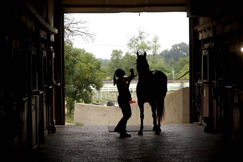 Assistant barn manager Sarah Liethen prepares Danta, a retired Medieval Times horse, for a riding lesson Friday July, 8, 2022, at the R Double J Ranch, 2800 Derby Lane, in McHenry. The R Double J Ranch recently got the contract to operate this equine facility from McHenry with the goal of making it more of a community-centric center and make learning about horses and riding open to all.