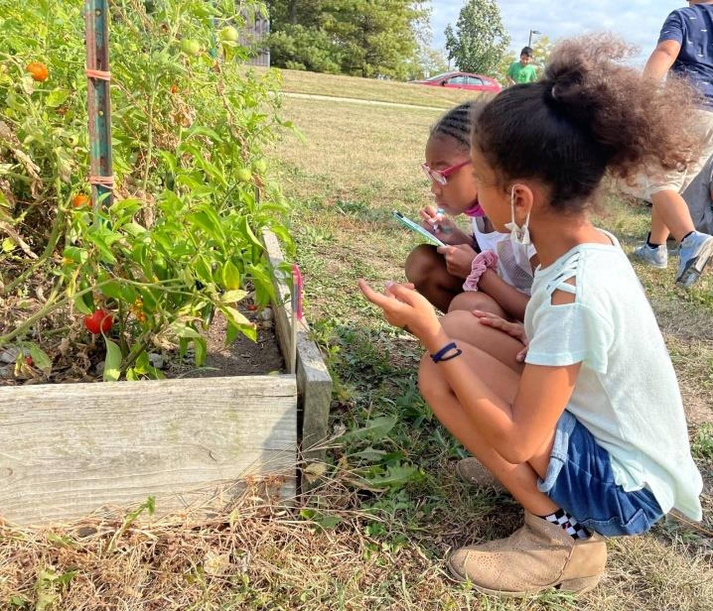 2020 Promise Grant to the DeKalb County Community Gardens used to educate youths about gardens by using their senses.