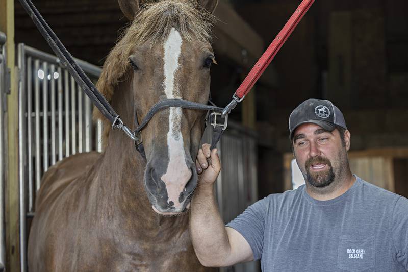 Aaron Mosher talks about one of his Belgian horse team members Tuesday, July 25, 2023 at his Prophetstown farm. State Senator Win Stoller, minority spokesperson for the agriculture committee, made a stop at the farm to learn about the operation.