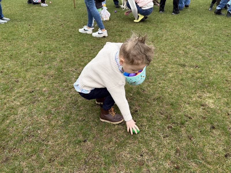 Henry Gasior, 3, of Cary picks eggs at the Easter Egg Hunt at Sunnyside Memorial Park in Johnsburg, Saturday, April 4, 2026.