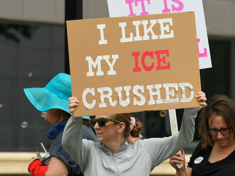 Photos: No Kings Protest in Lisle