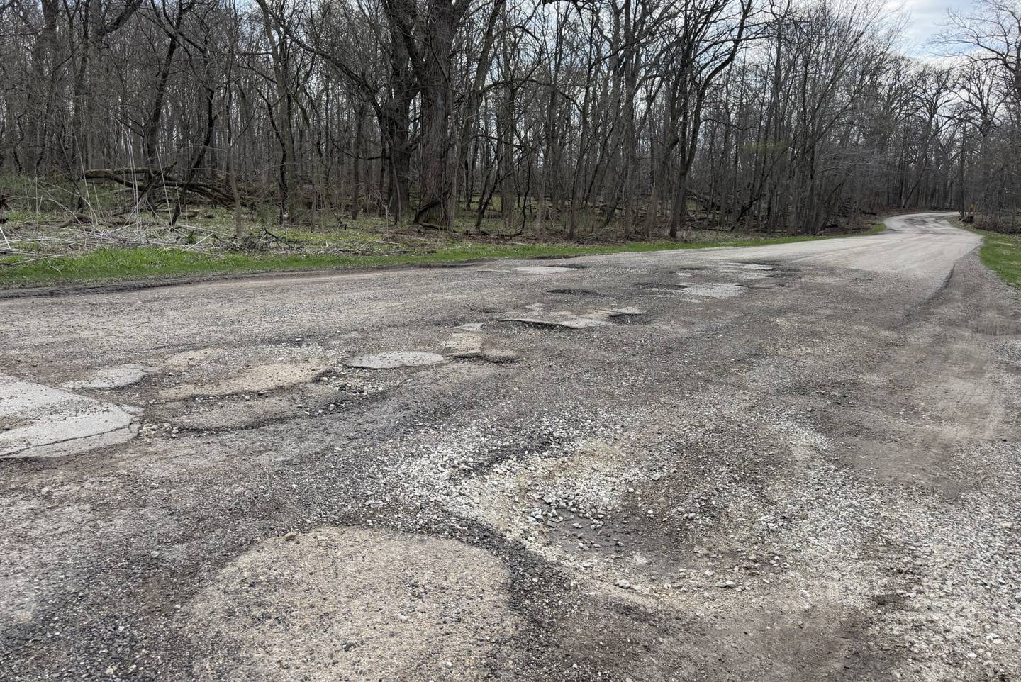The road leading into Messenger Woods Nature Preserve in Homer Glen will be reconstructed starting in early summer.