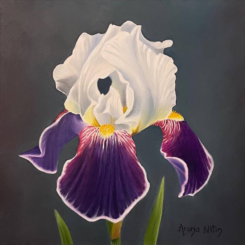 Purple and White Iris by Aruna Sarode (oil)