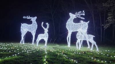 Illuminated holiday light shows, displays in Kane County