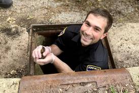 Ducklings rescued from storm drain by Yorkville police