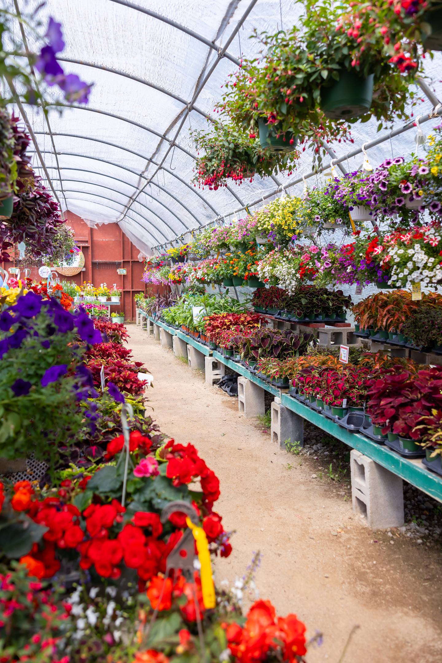 Siegel’s Cottonwood Farm in Crest Hill recently closed its garden center in April 2026 after 35 years. Customers praised the quality and wide variety of its plants.
