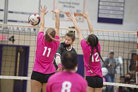 Volleyball: New stars will arise this fall