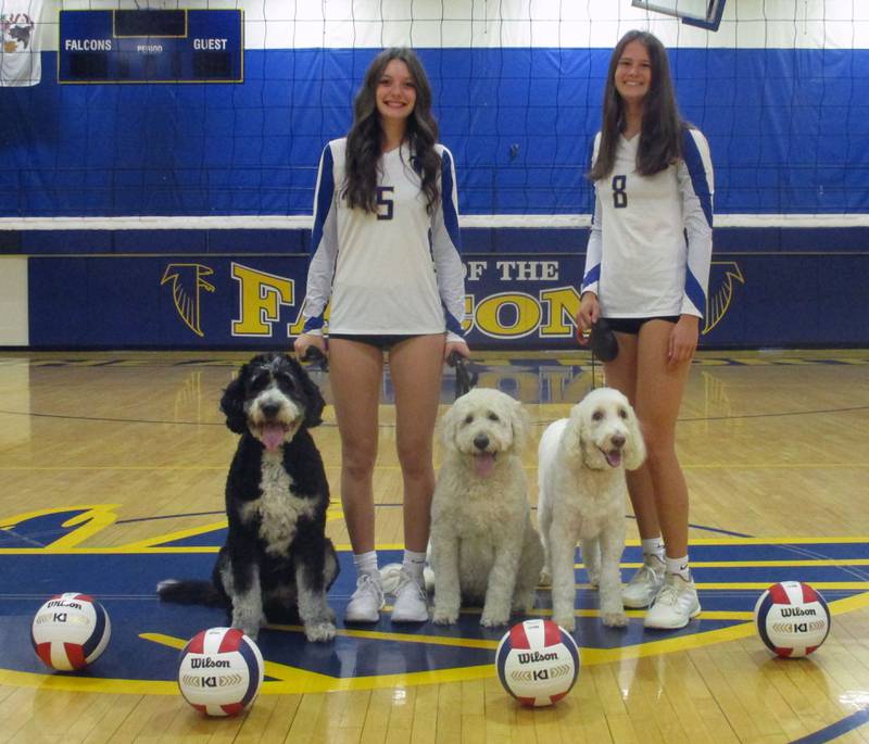 Wheaton North senior volleyball players Paige Syswerda (left) and Audrey Brcka have bonds as third-year varsity standouts, and as dog lovers with (from left) Reese, Sadie and Bentley.