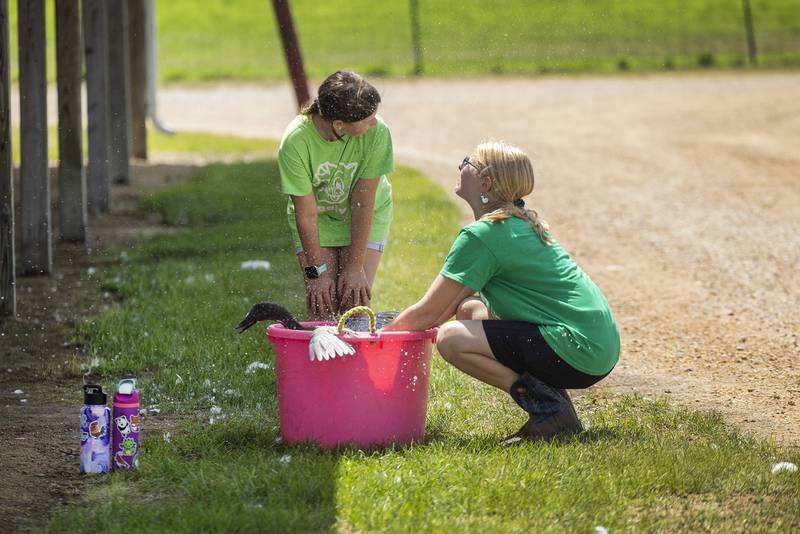 Kaitlyn Collins (left), 10, of Volo and Caroline Montgomery, 13, of Malta get baths of their own while attempting to clean “Blue,” a Blue Swedish duck Friday, July 28, 2023 at the Lee County 4-H fair.