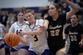 Photos: Herscher vs. Wilmington, girls basketball