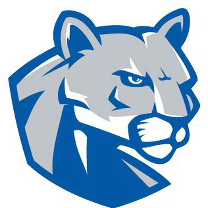 Vernon Hills logo