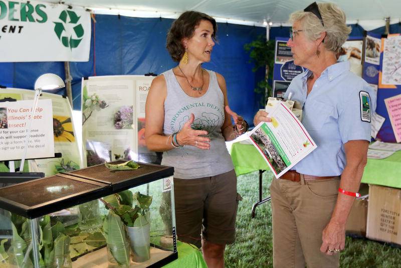 Environmental Defenders of McHenry County Executive Director Cynthia Kanner (left) talks with Stacy Iwanicki of the Illinois Department of Natural Resources and McHenry County Audubon Society at the McHenry County Fair in Woodstock.
