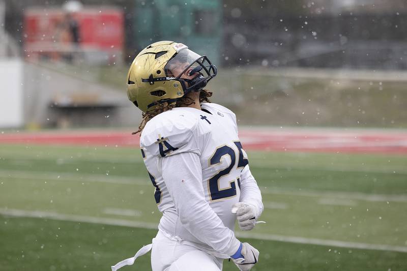Althoff Catholic’s Asher Peterson celebrates a sack against Lena-Winslow Friday, Nov. 29, 2024, in the class 1A football state final.