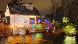 Cosley Zoo’s Festival of Lights, Christmas tree sale to run through December 