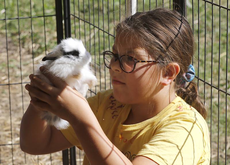 Gabriela Ayala, 9, looks aa a baby bunny during a stop on the McHenry County Farm Stroll on Sunday, Sept. 28, 2025  at Hephzibah Farms in Hebron. The farm stroll, a self-guided tour of McHenry County’s family farms, featured farm tours, demonstrations and products for sale at eleven farms.