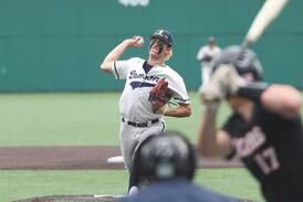 Suburban Life baseball previews for the 2025 season