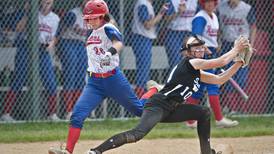 High school softball: Previewing teams from around the Suburban Life area
