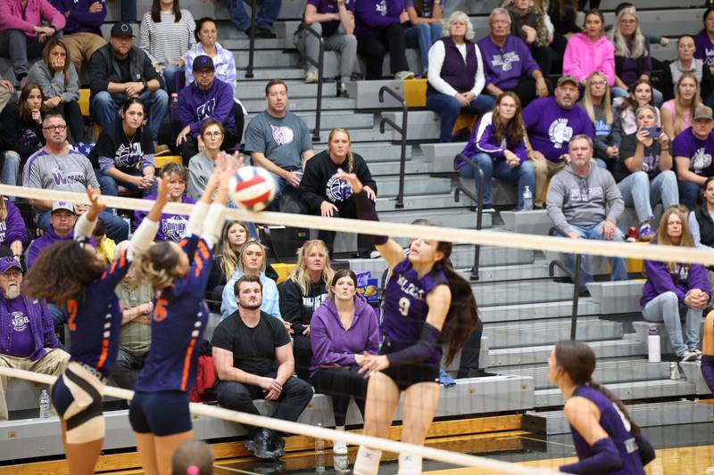 Wilmington fans watch as Kate Grosso hits the ball in the second set during the Wildcats' loss in three sets, 25-16, 22-25, 17-25, to Pontiac in the IHSA Class 2A Herscher Regional championship on Thursday, Oct. 30, 2025.