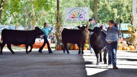 Sublette man recognized as junior member of Angus cattle association
