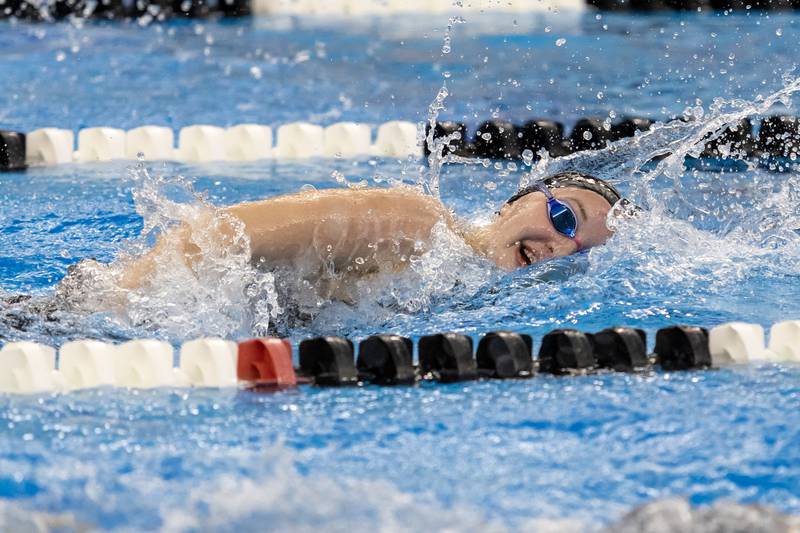 St. Charles North’s Kate Farrell competes in the 500 Yard Freestyle during the IHSA Girls State Swimming Preliminaries at FMC Natatorium in Westmont on Nov. 14, 2025.
