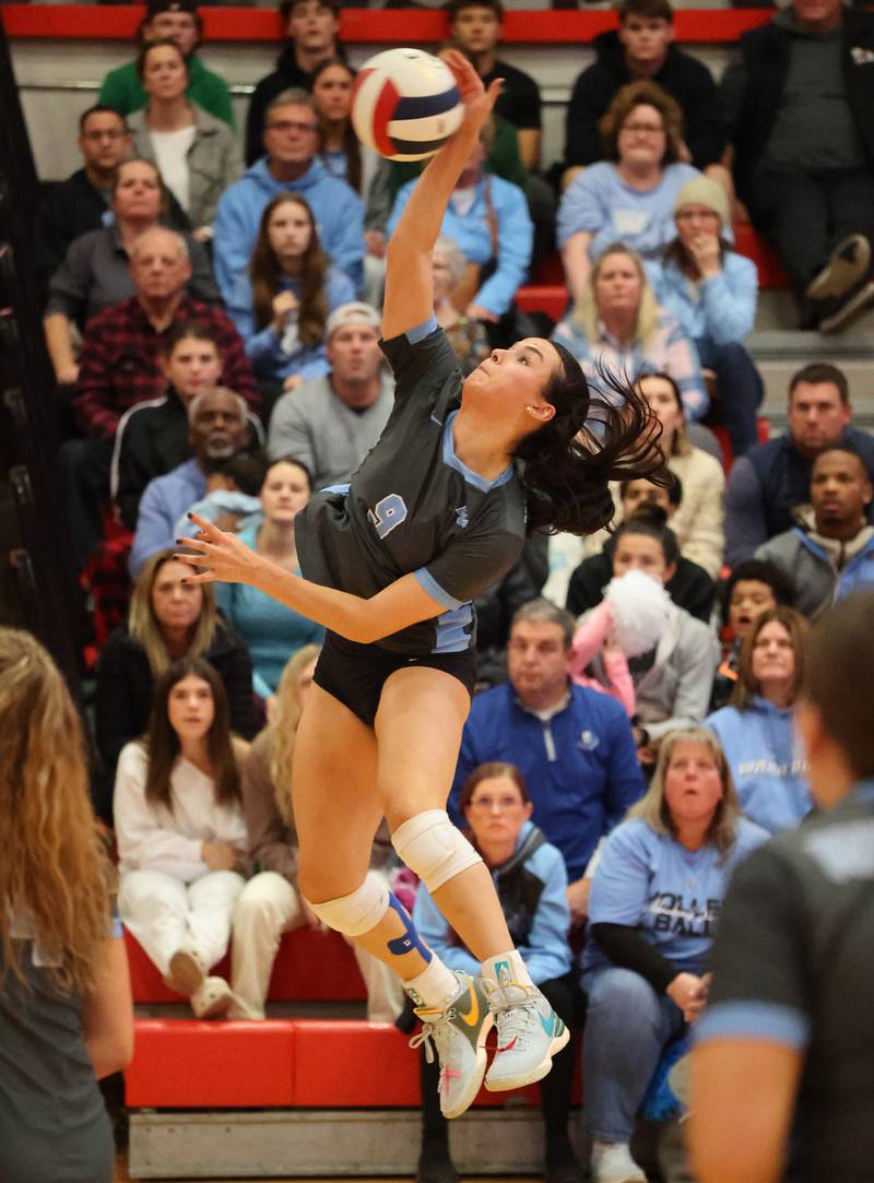Willowbrook’s Calli Kenny (9) goes for a kill against Oak Park-River Forest during the 4A girls varsity volleyball sectional final match at Hinsdale Central high school on Wednesday, Nov. 1, 2023 in Hinsdale, IL.
