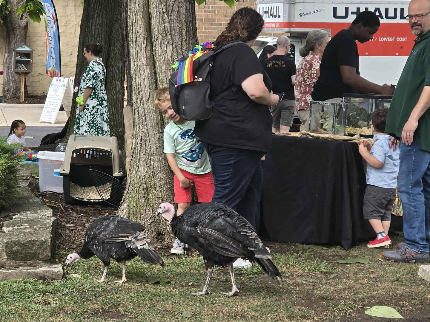 An exotic animal zoo was part of Joliet PrideFest on Saturday, Sept. 20, 2025, at the Billie Limacher Bicentennial Park and Theatre.