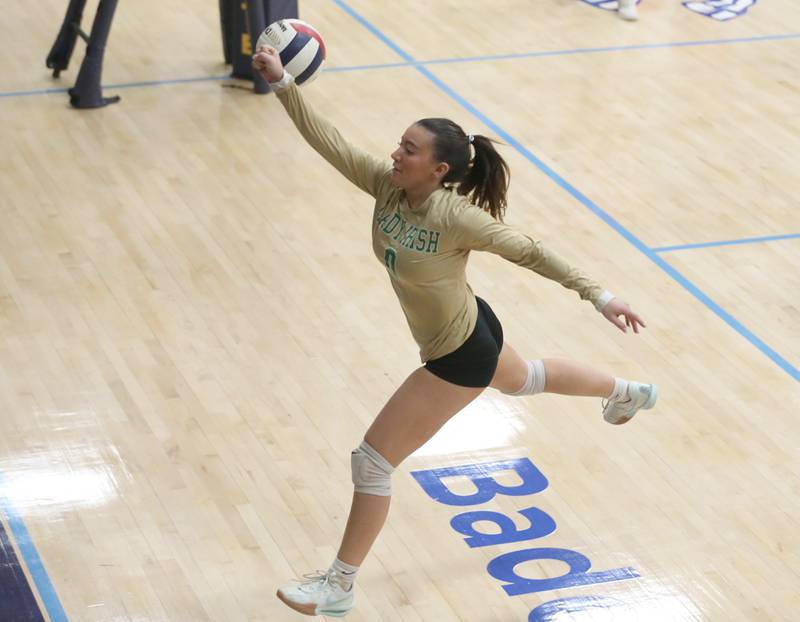 Seneca libero Alyssa Zellers chases down the ball before it lands in the stands against Henry-Senachwine during the Tri-County Conference Championship game on Thursday, Oct. 17, 2024 in Bader Gym at Marquette High School.
