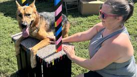 Dogs pant, sniff their way through rescue rally in Oregon