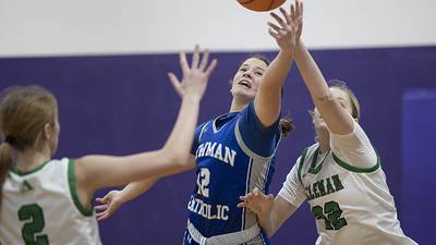 Photos: Girls Holiday Tournament Newman vs Alleman