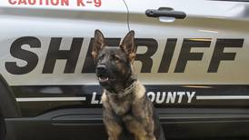 Sheriff’s K-9 Loki finds missing woman in Lake Villa